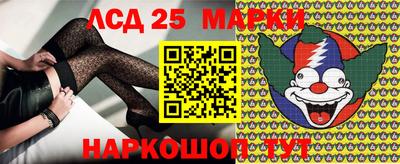 прущие грибы Краснодар