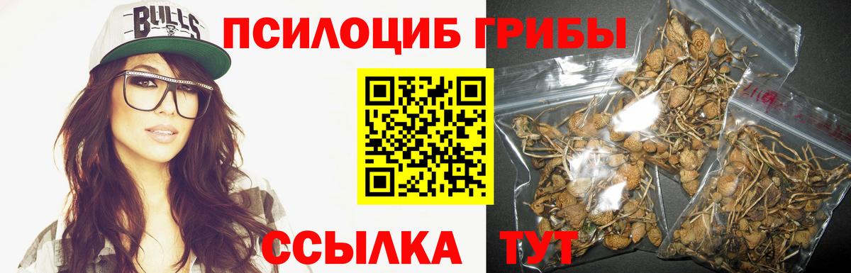 Псилоцибиновые грибы Psilocybine cubensis  Галлюциногенные грибы Magic Shrooms  Дзержинск  Вход с VPN 